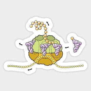 Ribosome Cross Section Illustration Sticker